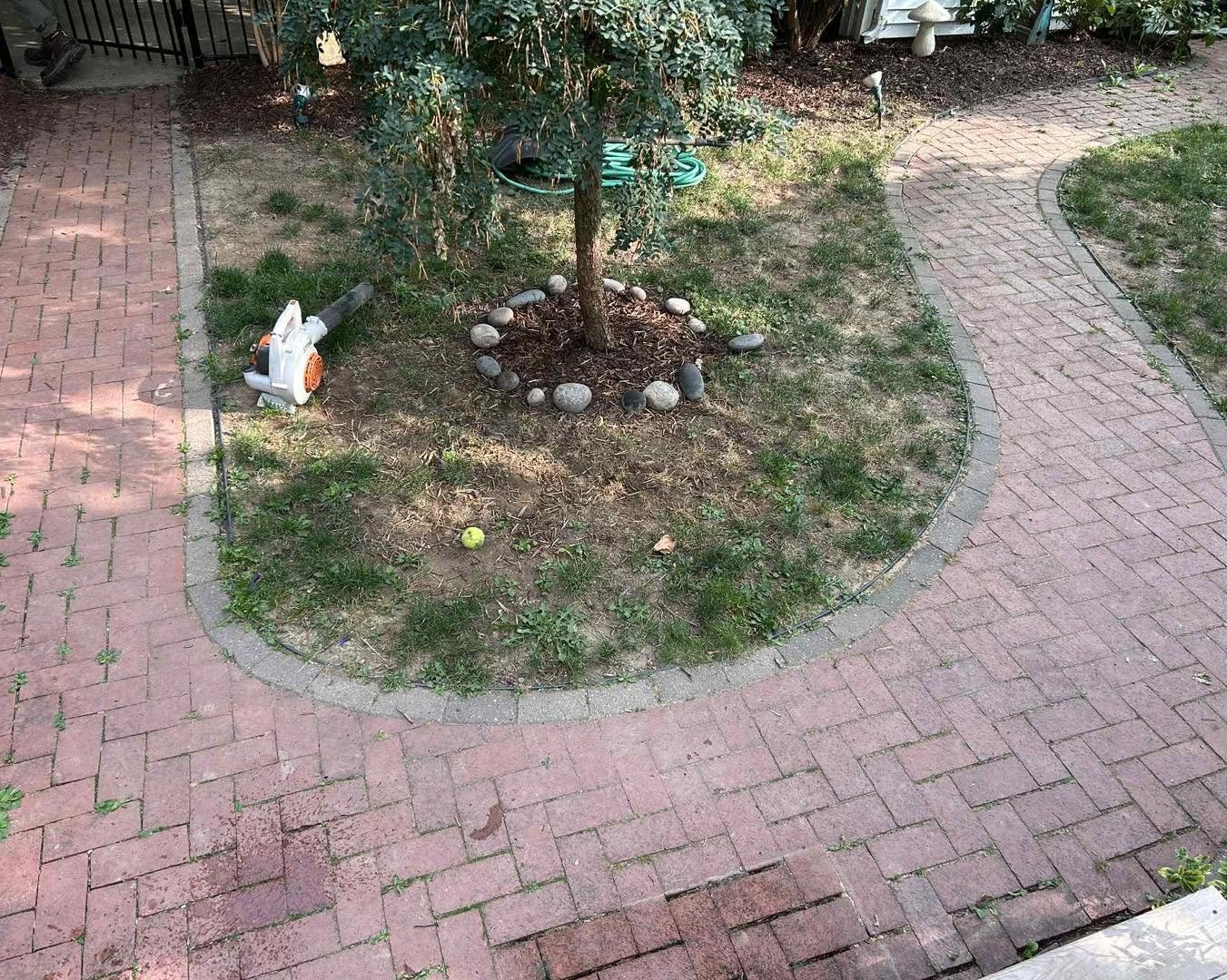 Brick walkway curving around a mature tree