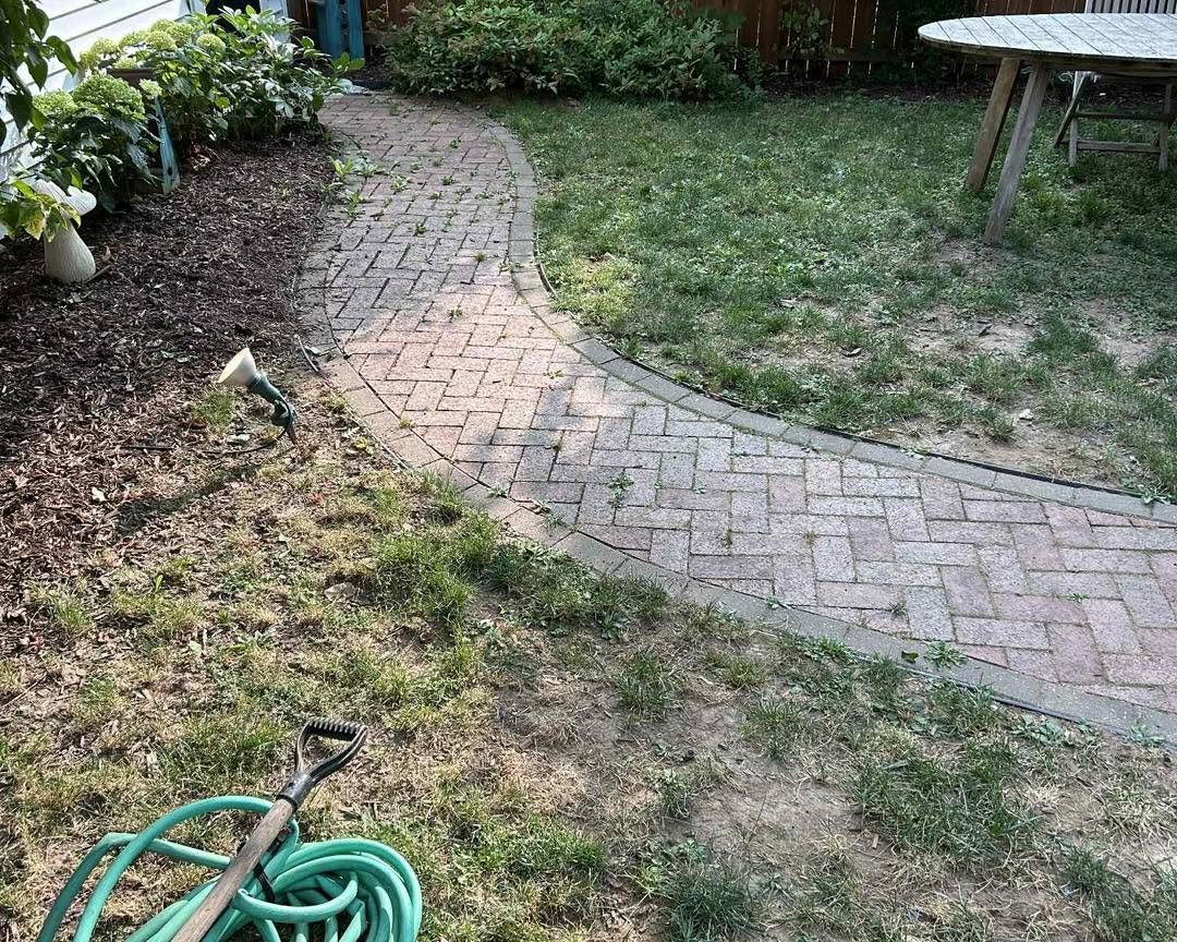 Existing curved brick path before repair